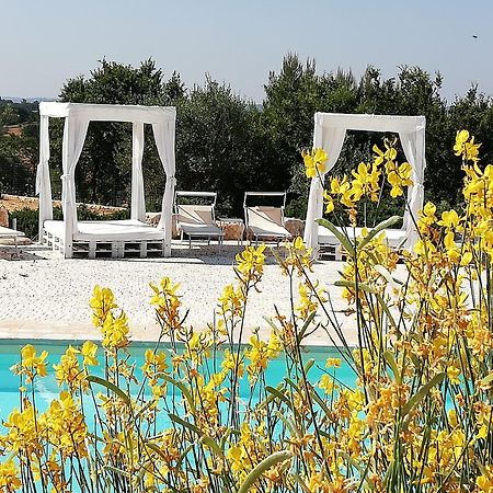 Marinelli Guest House Cisternino Luaran gambar